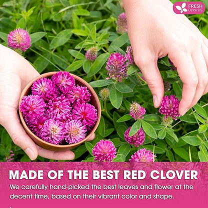 FreshDrinkUS, Premium Red Clover Herbal Tea– 75 Tea Bags – Pure – Naturally Smooth & Mild Flavor – Premium Quality, Eco-Conscious Packaging. Caffeine-Free. Gluten Free. Vegan