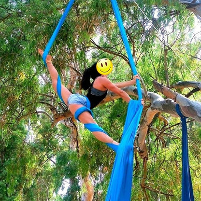 DASKING Aerial Silks Starter Kit - Durable 11Yards of Aerial Yoga Hammock with Hardware, Aerial Swing for Acrobatic Flying Yoga & All Levels (Aerial Rigging Point Up to 14ft)