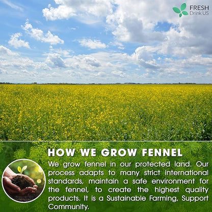 FreshDrinkUS, Premium 75 Fennel Seed Tea Bags – 100% Natural & Pure, Handmade Herbal Tea, Eco-Friendly, Fresh Aroma, Made with Natural Material Tea Bags. No Sugar, No Caffeine, No Gluten, Vegan.