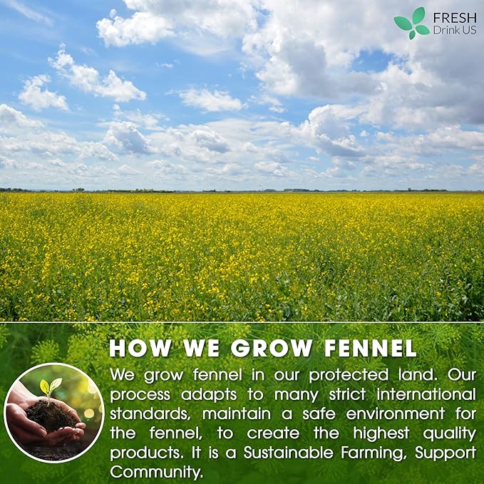 FreshDrinkUS, Premium 135 Fennel Tea Bags, 100% Natural & Pure from Fennel Seeds. Fennel Seed Herbal Tea. Fennel Seed Tea. Made with Natural Material Tea Bags. No Sugar, No Caffeine, No Gluten, Vegan.
