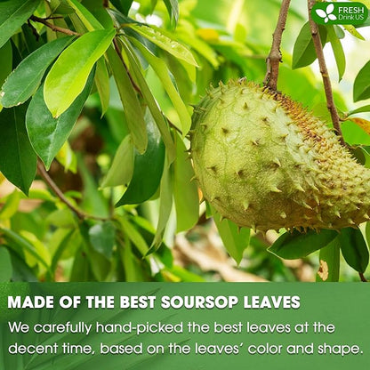 FreshDrinkUS, 75+ Premium Soursop Graviola Dried Leaves Tea, Natural Whole Leaves, Wildcrafted, Hoja De Guanabana, Soursop/Guanabana/Graviola Tea, No Sugar/Gluten/Caffeine/Non GMO, Vegan