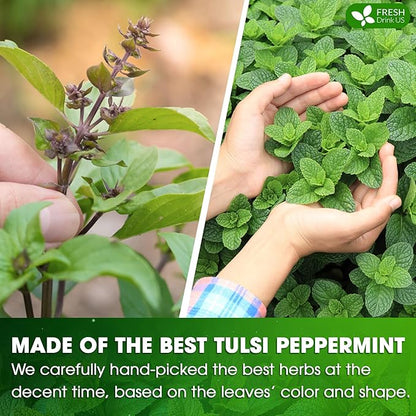 FreshDrinkUS, Premium Tulsi Peppermint Herbal Tea – 75 Tea Bags, 100% Natural, Blend of Tulsi Holy Basil Leaves, and Peppermint Leaves. Made with Natural Material Tea Bags. No Sugar, Vegan.