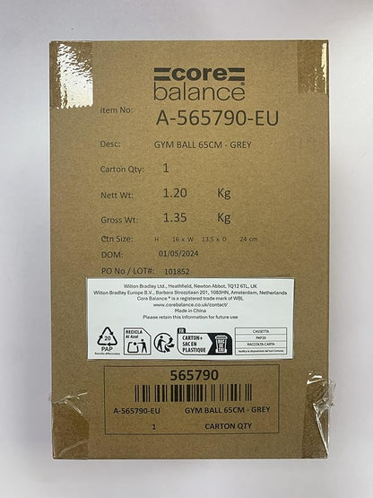 Exercise Ball for Workouts, Anti-Burst and Slip Resistant, Swiss Yoga Ball for Pregnancy, Stability, Fitness and Physical Therapy, 4 Sizes, with Pump