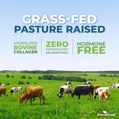 ForestLeaf Collagen Peptides Powder Unflavored - Hydrolyzed Grass Fed Keto Collagen Protein Powder Type 1, 2 & 3 - Vital Hair, Skin, Nails, Joints, Recovery, 11g Per Serving