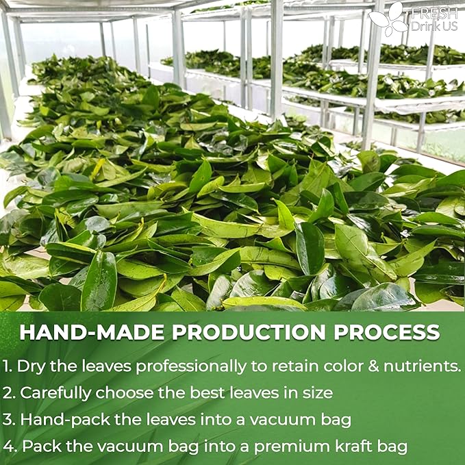 FreshDrinkUS, Premium 275+ Soursop Graviola Whole Dried Leaves Tea, 275-300 Soursop Graviola Guanabana Whole Leaves, Wildcrafted, Hoja Guanabana Loose Leaf Herbal Tea, No Gluten, Vegan