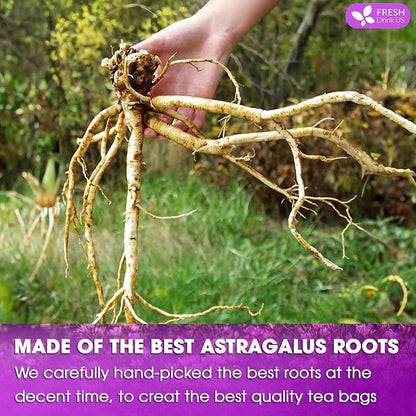 FreshDrinkUS Premium 55 Astragalus Root Tea Bags, 100% Natural & Pure. Astragalus Root Herbal Tea. Made With Natural Material Tea Bags. No Sugar, No Caffeine, No Gluten, Vegan