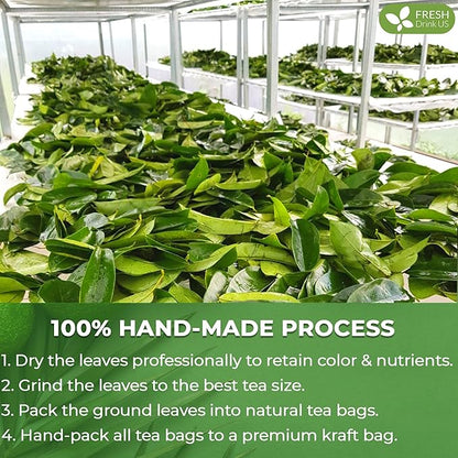 FreshDrinkUS, 15 Premium Soursop Graviola Leaf Tea Bags, 100% Natural and Pure from Soursop Leaves, Handmade, Made With Natural Materials-Corn Fiber Tea Bag, Sugar/ Caffeine/ Gluten Free, Hoja Guanabana Tea