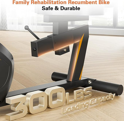 Recumbent Exercise Bike, Stationary Bikes for Home Magnetic Recumbent Bike with Adjust Seat for Adults Seniors, 300LB Capacity & 8-level Resistance, LCD Monitor and Heart Rate Handle