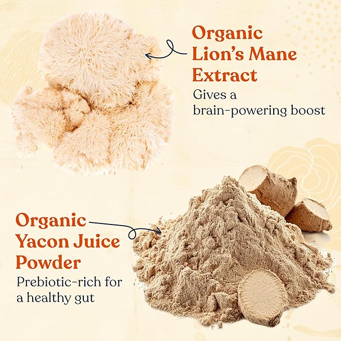 Four Sigmatic Organic Cold Brew Coffee Grounds | Dark Roast, Coarse Grounds with Lion's Mane and Chaga | Cold Brew Mushroom Coffee for Crash-Free Focus | 12 oz Bag