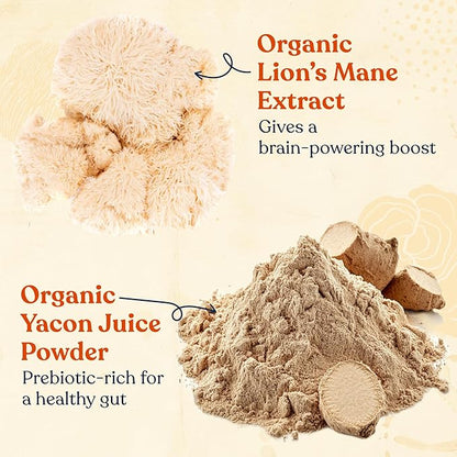 Four Sigmatic Organic Cold Brew Coffee Grounds | Dark Roast, Coarse Grounds with Lion's Mane and Chaga | Cold Brew Mushroom Coffee for Crash-Free Focus | 12 oz Bag