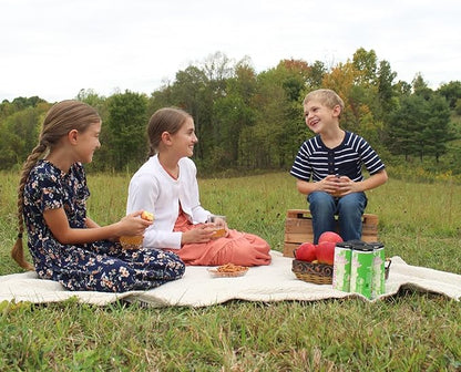 Kauffman Orchards Sparkling Apple Cider, 12 oz. Can (Pack of 24)