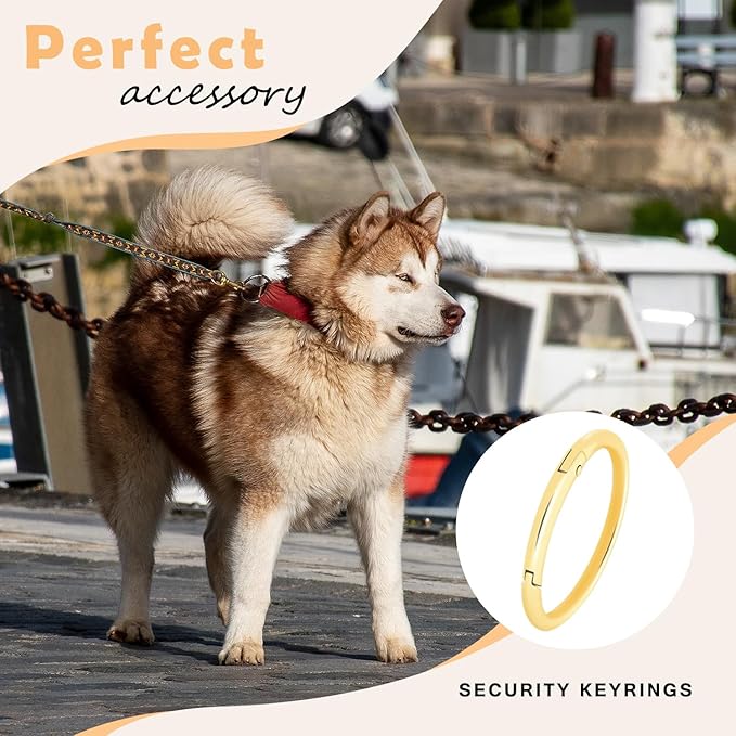 10Pack 1-1/2" Large Round Carabiner Clips, Metal Spring O Rings for Organizer Key Rings, Paracord Keychain Lanyard, Pet Chains, Purse Hardware, Key Snap Hooks DIY Accessory (Assorted)