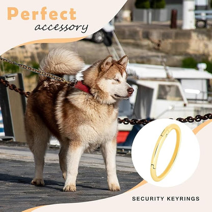 10Pack 2" Large Round Carabiner Clips, Metal Spring O Rings for Organizer Key Rings, Paracord Keychain Lanyard, Pet Chains, Purse Hardware, Key Snap Hooks DIY Accessory (Silver)