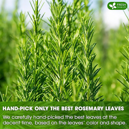 FreshDrinkUS, Premium 40 Rosemary Leaf Tea Bags, 100% Natural and Pure Rosemary Dried Leaves, Pure Rosemary Herbal Tea, No Additives, No Caffeine, No Gluten, Vegan.