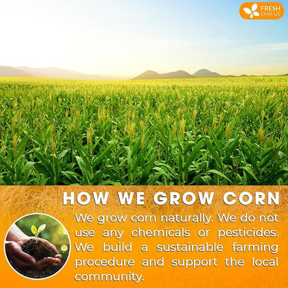 FreshDrinkUS, Premium 40 Tea Bags Corn Silk Tea, 100% Natural & Pure from Corn Silk. Corn Silk Herbal Tea. Clean Ingredients. Made with Natural Material Tea Bags. No Sugar, No Caffeine, Vegan. (40 Tea bags Corn Silk)