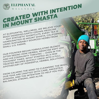 Elephantal Wellness Premium Brain Herbal Tea | Nootropic Focus & Mental Clarity Support with Ginkgo, Bacopa, Ashwagandha & Gotu Kola | Handmade, Caffeine-Free, Non-GMO Loose Leaf Blend, 4oz Loose Leaf, 40 Servings