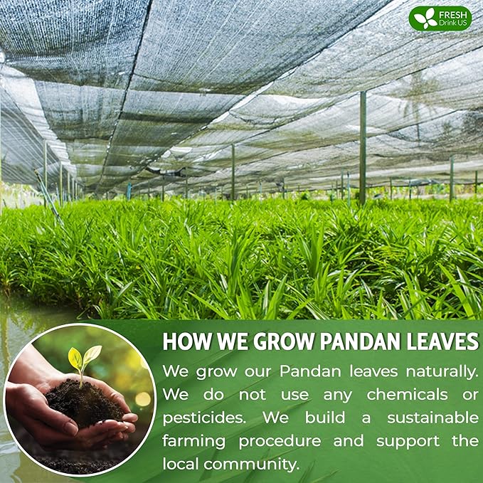 FreshDrinkUS, Premium 55 Pandan Leaf Tea Bags, 100% Natural & Pure from Pandan Leaves. Loose Leaf Pandan Herbal Tea. Made with Natural Material Tea Bags. No Sugar, No Caffeine, No Gluten, Vegan.