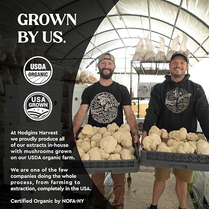 Hodgins Harvest Organic Lion's Mane Fruiting Body Extract Tincture - Mushroom Supplement for Brain Health and Mental Focus - Dual Extract Formula - Extra Concentrated - 2 fl oz Bottle