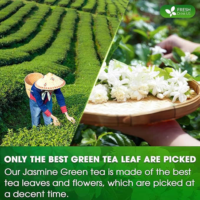 FreshDrinkUS Premium 135 Jasmine Green Tea Bags - 100% Natural & Pure, Made with Natural Material Tea Bags, No Sugar, No Gluten, Vegan