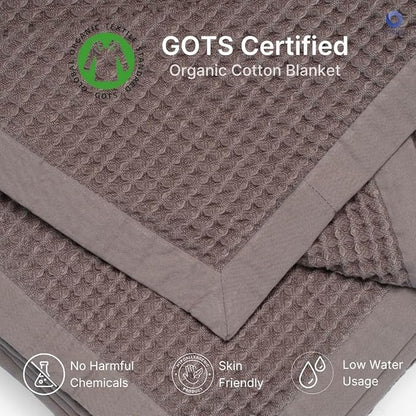 GOTS Certified Organic Cotton Waffle Weave Blanket, Twin Bed Size, 66"X90"Cozy Throw Blanket for Couch, Modern Home Decor, Throw Blankets,Waffle Blanket & Soft Bed Blankets -Charcoal Grey