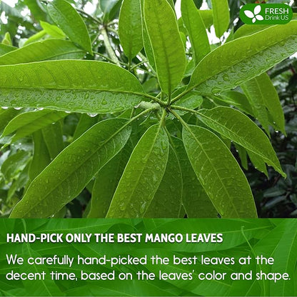 FreshDrinkUS, Premium 140+ Mango Whole Leaves Dried, 100% Natural & Pure from Dried Mango Leaves, Mango Leaf Tea, No Additives, No Caffeine, Vegan