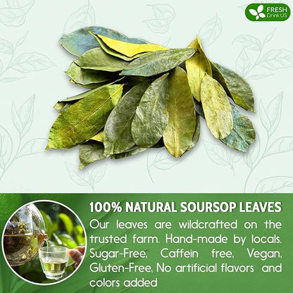 FreshDrinkUS, 75+ Premium Soursop Graviola Dried Leaves Tea, Natural Whole Leaves, Wildcrafted, Hoja De Guanabana, Soursop/Guanabana/Graviola Tea, No Sugar/Gluten/Caffeine/Non GMO, Vegan
