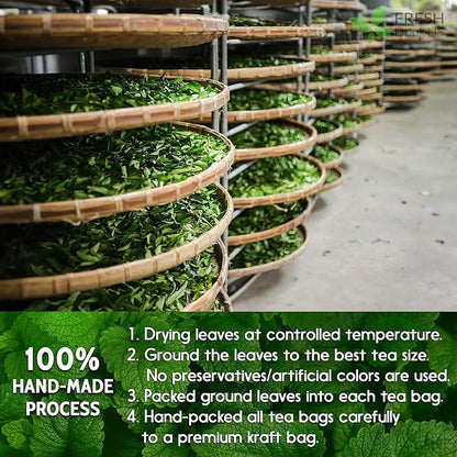 FreshDrinkUS, Premium 120 Lemon Balm Leaf Tea Bags, 100% Natural & Pure from Lemon Balm Leaves. Loose Leaf Lemon Balm Herbal Tea. Lemon Balm Leaf Tea. No Sugar, No Caffeine, No Gluten, Vegan. Lemon Balm Tea