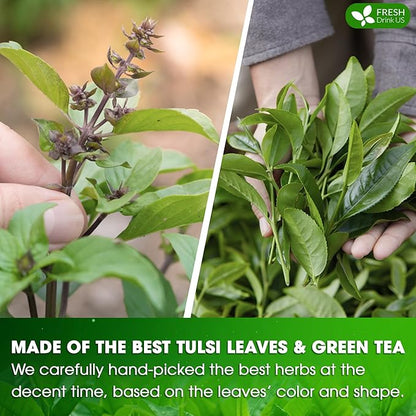 FreshDrinkUS, Premium 75 Tulsi Green Tea Bags, 100% Natural, Blend of Tulsi Holy Basil Leaves, and Green Tea Leaves. Made with Natural Material Tea Bags. No Sugar, Vegan.