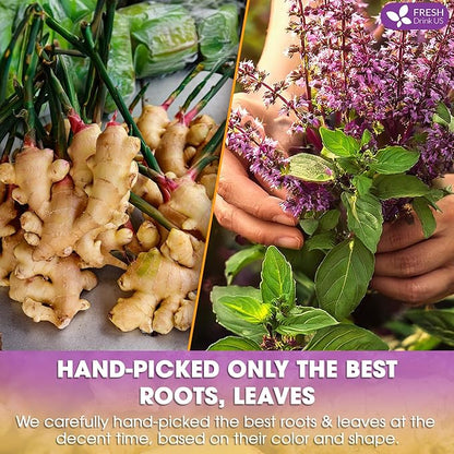 FreshDrinkUS, Premium 35 Ginger Tulsi Tea Bags, 100% Natural, Hand-made Blend of Ginger and Tulsi Holy Basil Leaves, Eco-conscious Tea Bags. Ginger Tulsi Herbal Tea. No Sugar, No Caffeine, Vegan.