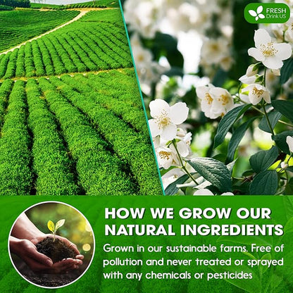 FreshDrinkUS, Premium 20 Tea Bags of Jasmine Green Tea, 100% Natural. Exquisite Flavor, Handpicked Leaves, Perfect for Tea Lovers. No Sugar, No Gluten, Vegan.