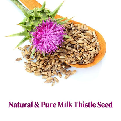 FullChea - Milk Thistle Tea Bags, 40 Teabags, 3g/Bag - Natural Milk Thistle Seed