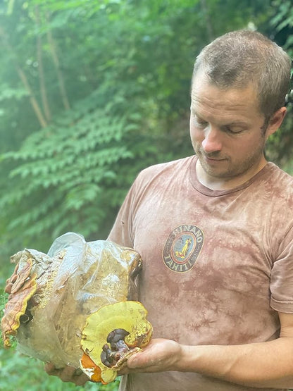 Hodgins Harvest Organic Reishi Tincture | Made with Mushrooms Grown On Our Farm in The USA | Dual Extract | Extra-Concentrated (2 fl oz)