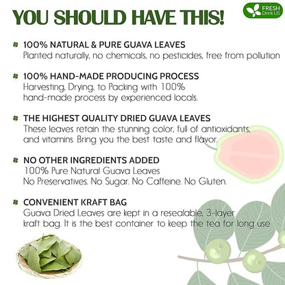 FreshDrinkUS, Premium 50+ Natural Guava Leaves, Whole Dried Leaves, 100% Pure, Natural Guava Loose Leaf Herbal Tea, Non GMO, No Additives, No Caffeine, Vegan