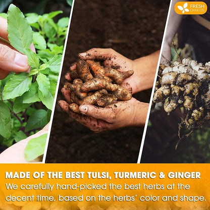 FreshDrinkUS, Premium 75 Tulsi Turmeric Ginger Tea Bags, 100% Natural & Pure from Tulsi Holy Basil Leaves, Turmeric and Ginger. Made with Natural Material Tea Bags. No Sugar, No Caffeine, Vegan.