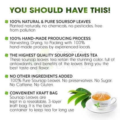 FreshDrinkUS, Premium 30+ Soursop Graviola Dried Leaves, Natural Whole Soursop Leaves, Wildcrafted, Hoja Guanabana, Loose Leaf Herbal Tea, No Gluten, Vegan