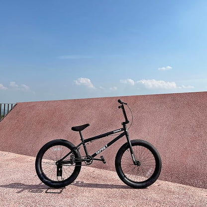 Freestyle BMX Bike, 20 Inch Yaphet Bicycle for Teen Beginner and Adult Riders, Bike with Hi-Ten Steel Frame, Multiple Colors