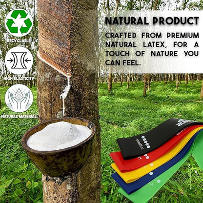 Exercise Resistance Bands for Working Out Set of 5 for Women and Men, Stretch Bands for Exercise, Physical Therapy, Arms Legs Workout, Stretching, Home Fitness