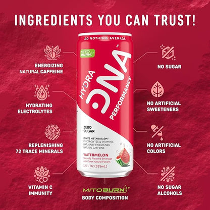HYDRADNA- Clean Performance Drink, Zero Sugar | For Natural Fuel, Alertness, Boost, Stamina,120 mg Organic Caffeine, Natural Flavors, Zero Sucralose, Clean Ingredients (12 Pack) (12 Pack, Watermelon)