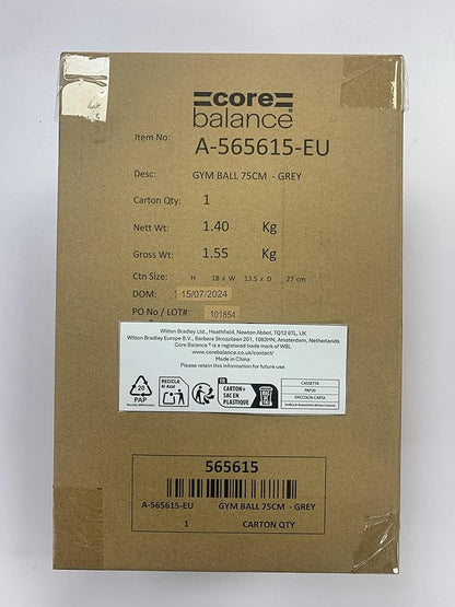 Exercise Ball for Workouts, Anti-Burst and Slip Resistant, Swiss Yoga Ball for Pregnancy, Stability, Fitness and Physical Therapy, 4 Sizes, with Pump