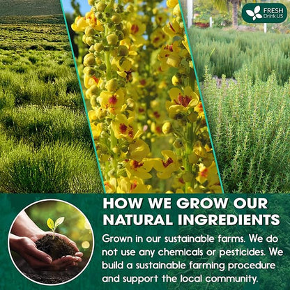 FreshDrinkUS, StrongerLungs 75 Tea Bags - Mullein Leaf, Ginseng, Elderberry, Ginger & Thyme - Supports Lung Cleanse, Congestion Relief & Mucus Detox - Caffeine-Free & All-Natural