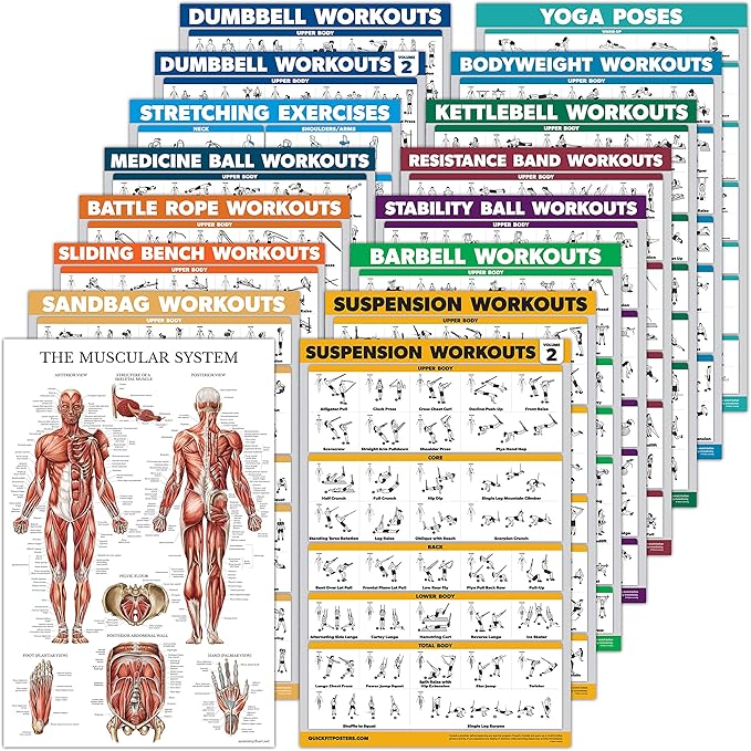 16 Pack - Exercise Workout Poster Set: Dumbbell , Suspension , Kettlebell , Bands , Medicine Ball , Battle Rope , Stretching , Bodyweight , Barbell , Yoga , Exercise Ball (PAPER - NOT LAMINATED , 18" x 24" )