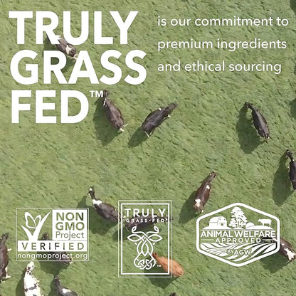 ICONIC Protein Shake, Cacao + Greens (12 Pack) – 20g Grass-Fed Protein Drink – Low Carb, Sugar Free, Keto Friendly – Lactose Free, High Protein Snack or Meal Replacement Shake