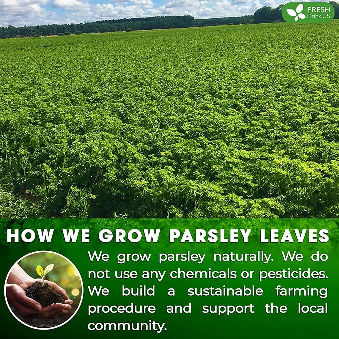 FreshDrinkUS, Premium 135 Parsley Leaf Tea Bags, 100% Natural & Pure from Parsley Leaves. Loose Leaf Parsley Herbal Tea. Made with Natural Material Tea Bags. No Sugar, No Caffeine, No Gluten, Vegan.