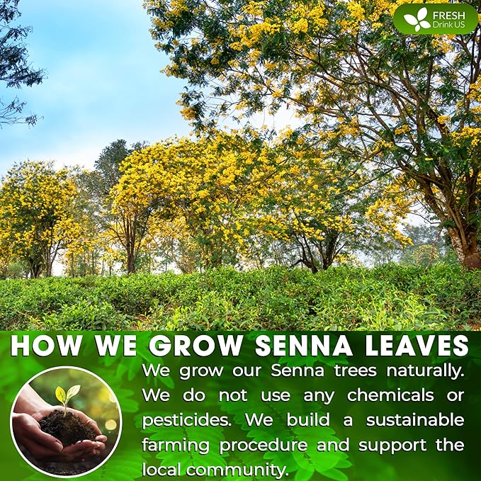 FreshDrinkUS, Permium 4.5oz Senna Leaves, 100% Natural & Pure from Senna Leaves, Senna Leaf Tea, Senna Loose Leaf Herbal Tea, No Additives, No Caffeine, Vegan