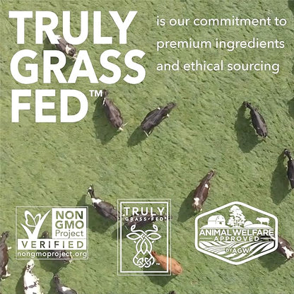 ICONIC Protein Powder, Chocolate Truffle - Sugar Free, Low Carb Protein Powder - Lactose Free, Gluten Free, Non-GMO - 20g Grass Fed Whey & Casein Protein - Keto Friendly, 1 lb. Pouch (17 Servings)