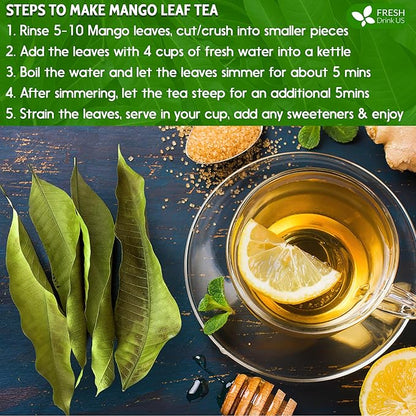 FreshDrinkUS, Premium 140+ Mango Whole Leaves Dried, 100% Natural & Pure from Dried Mango Leaves, Mango Leaf Tea, No Additives, No Caffeine, Vegan