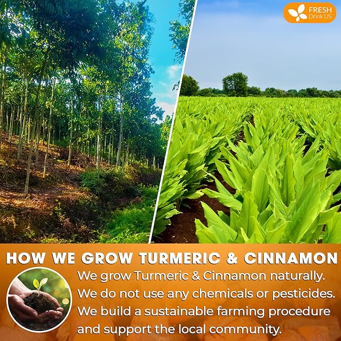 FreshDrinkUS, Premium 135 Turmeric Cinnamon Tea Bags, 100% Natural, Blend of Turmeric, and Cinnamon. Made with Natural Material Tea Bags. No Sugar. No Caffeine. Vegan.