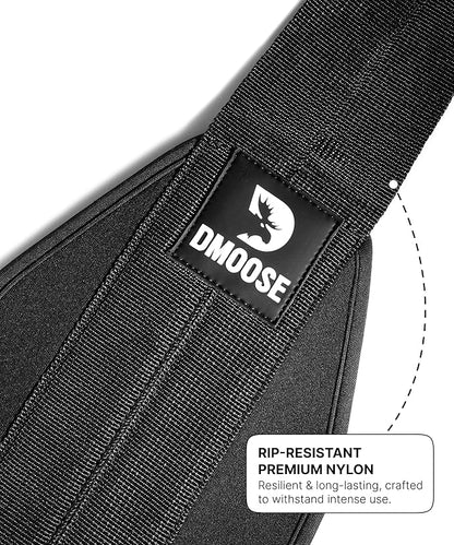 DMoose Fitness Hanging Ab Straps for Pull Up Bar & Core Strength Training - Soft Padded Exercise Straps for Ab Swing & Leg Raises, Hang Bar Strap with 2 Steel Carabiners - Abs Equipment for Home & Gym