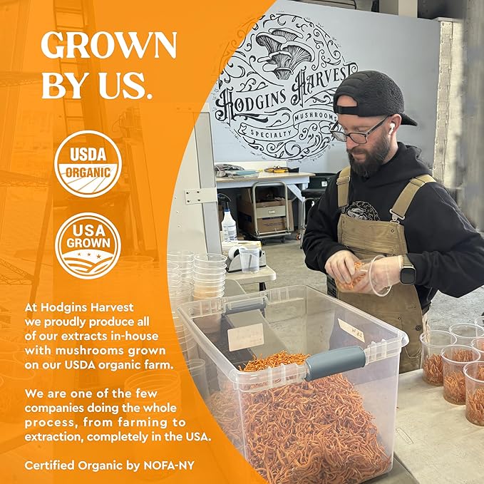 Hodgins Harvest Organic Cordyceps Tincture | Made with Mushrooms Grown On Our Farm in The USA | Dual Extract | Extra-Concentrated (2 fl oz)