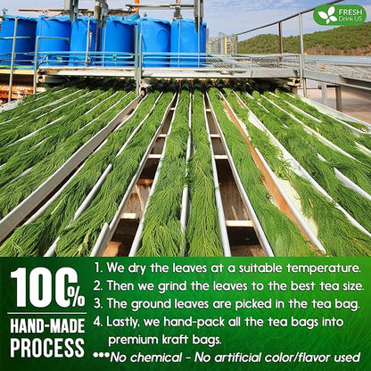 FreshDrinkUS, Premium 30 Horsetail Leaf Tea Bags, 100% Natural & Pure from Horsetail Loose Leaves Herbal Tea. Made with Natural Material Tea Bags. No Sugar, No Caffeine, No Gluten, Vegan.